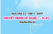 Soạn bài Thuyết trình về nghệ thuật kể chuyện trong một tác phẩm truyện trang 45 lớp 11 Kết nối tri thức tập 1